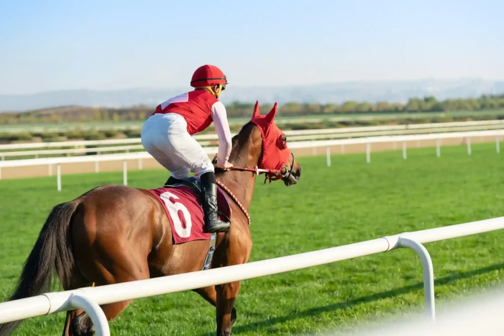 Which Countries Allow Horse Racing Betting? Which Countries Allow Horse Racing Betting?